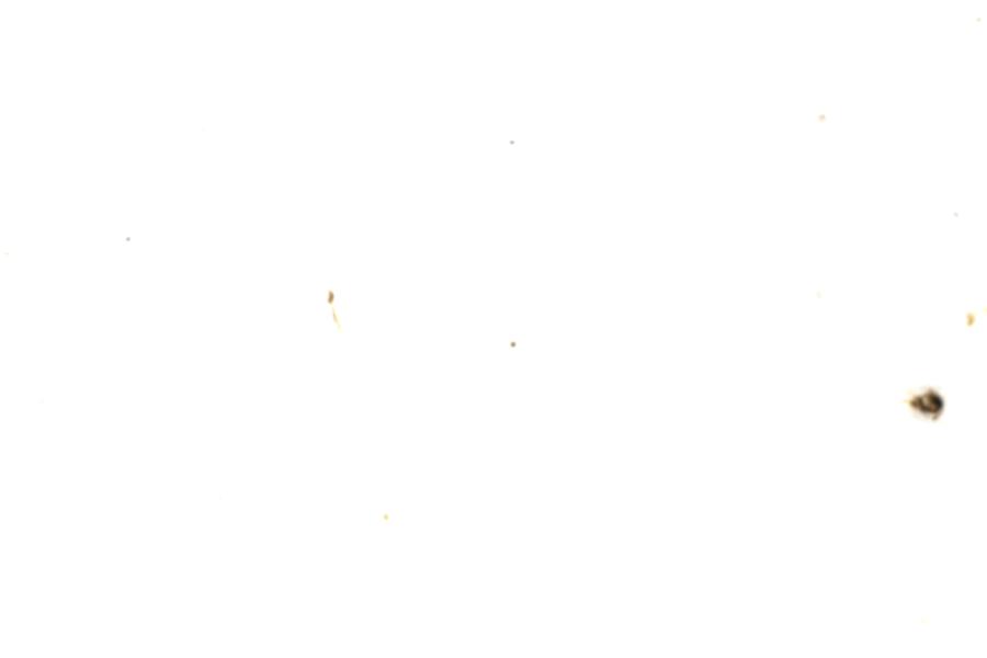 Image 36